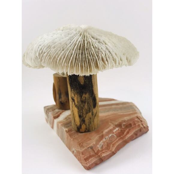 Vintage Banded Stone Marble Two Mushroom White Sculpture Primitive Wood Coral Ar - Picture 6 of 12